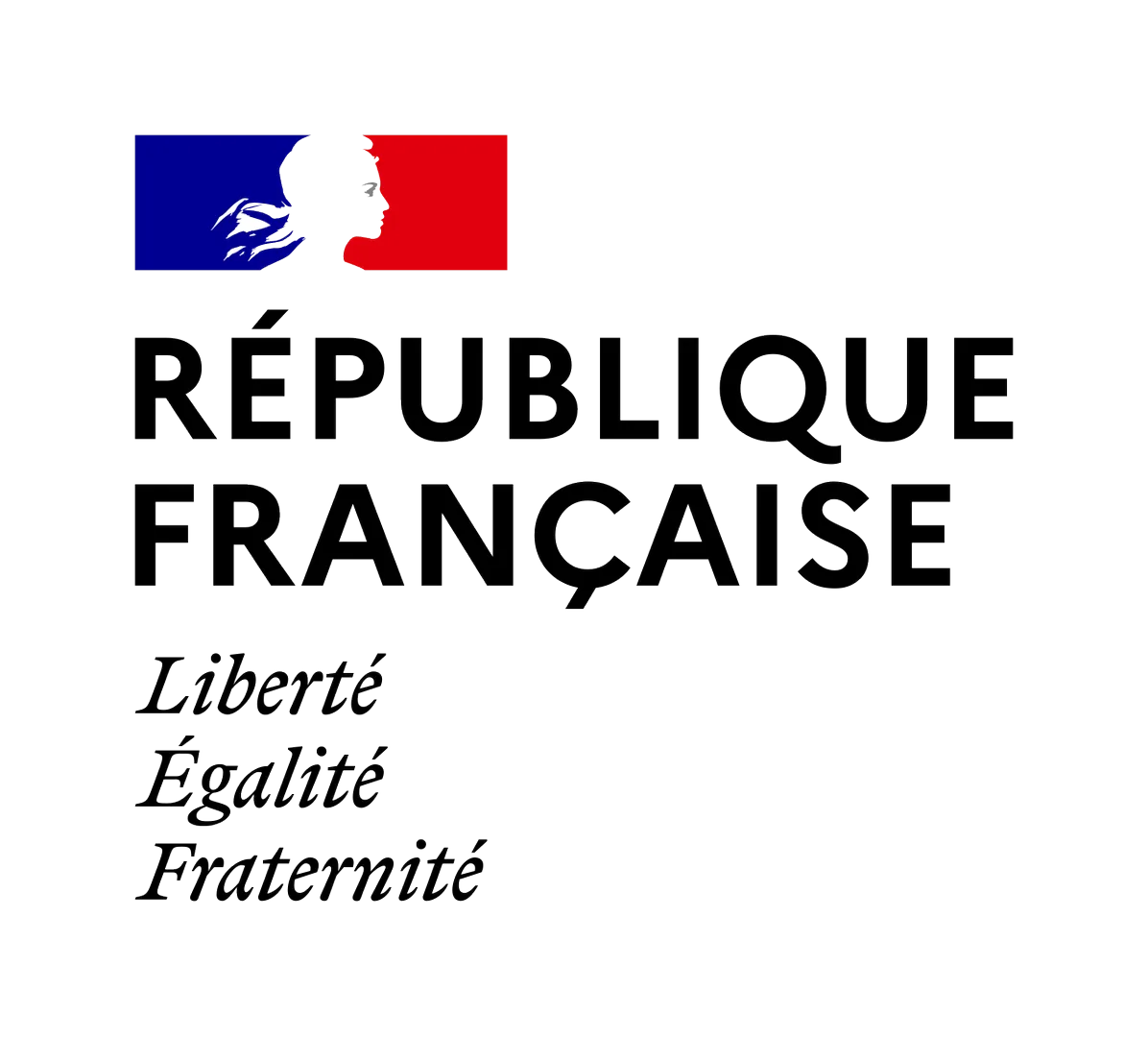 Republique francaise logo