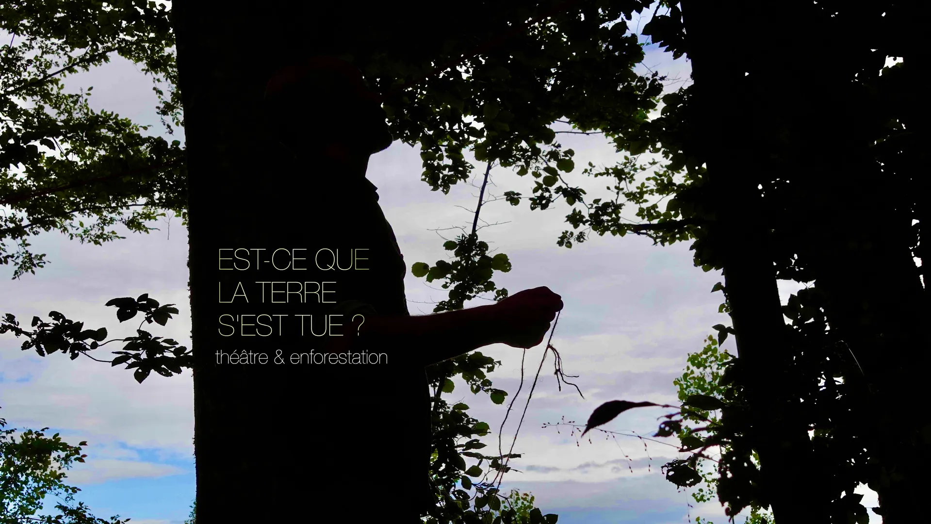 fly terre fly terre